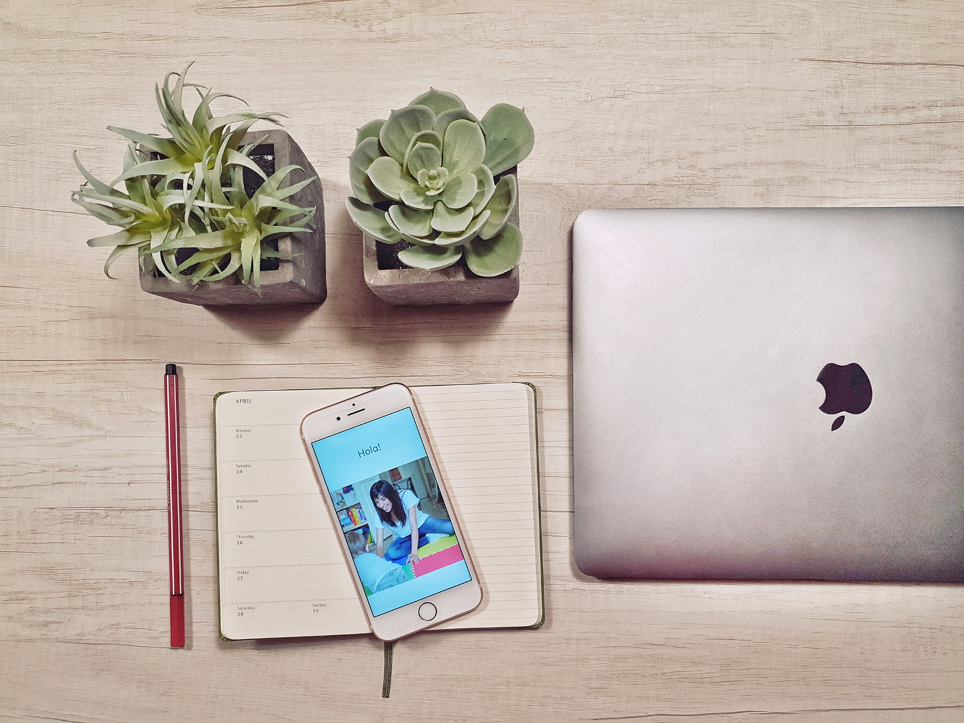 fisioteràpia sant celoni contacte